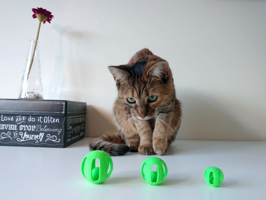 Cat Toy Balls with Bells Inside
